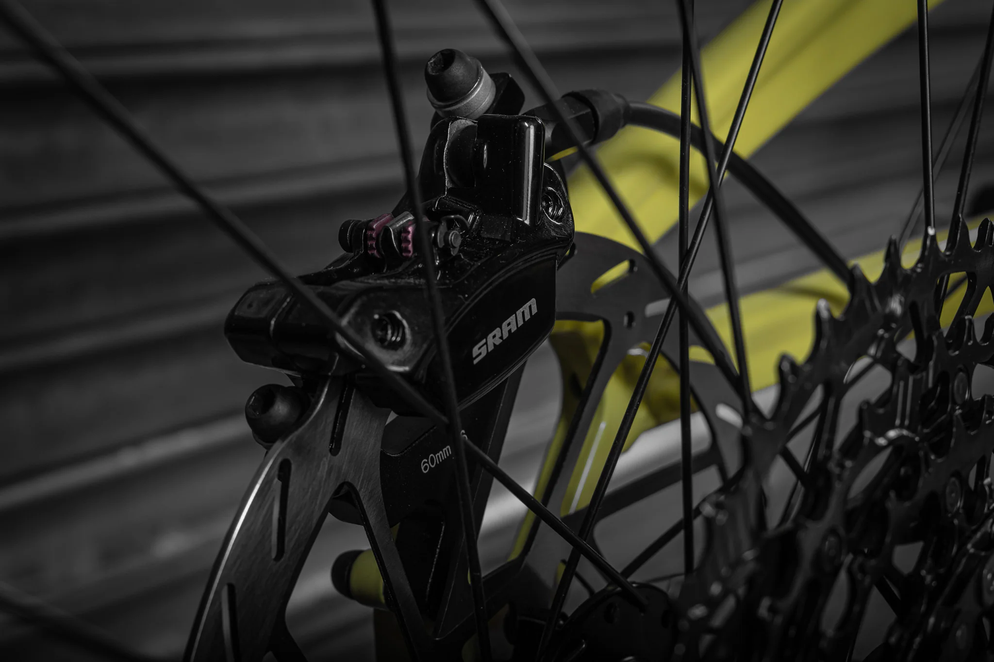 2026 Stage 7 Pro - Image 4